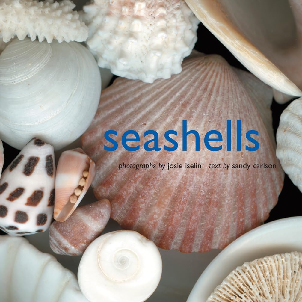 Seashells Book