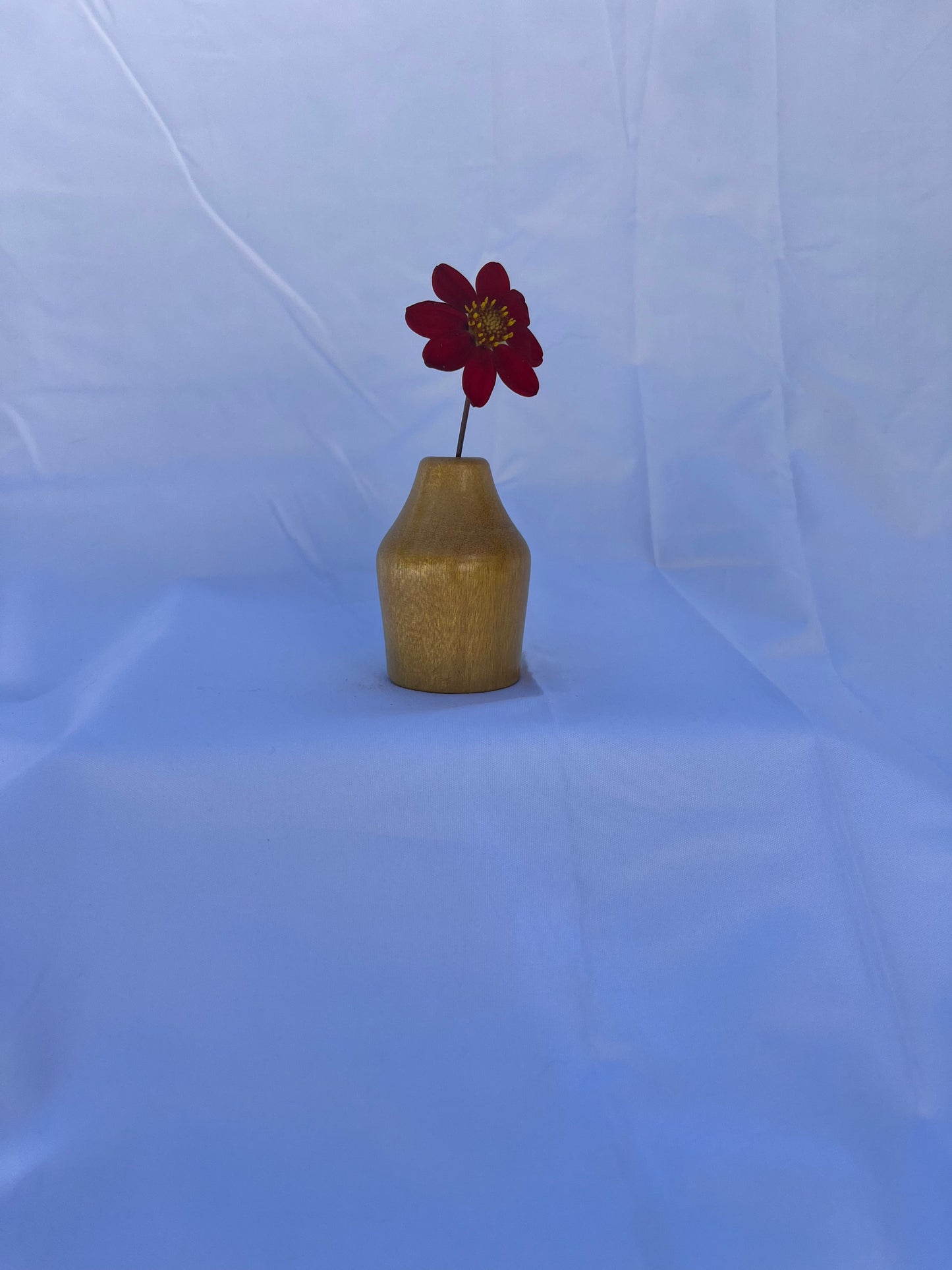 Vase Wooden Small