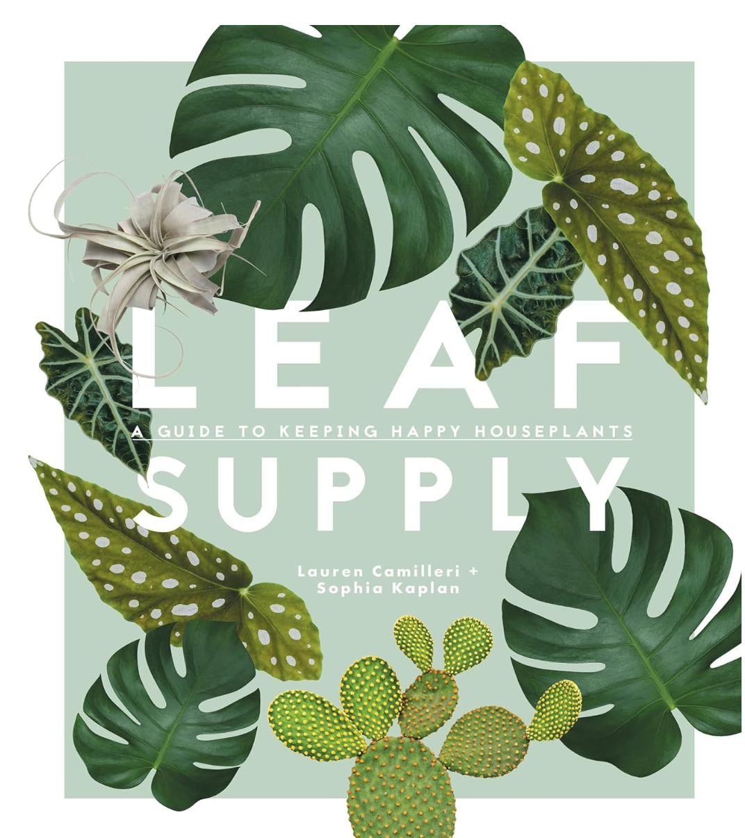 Leaf Supply