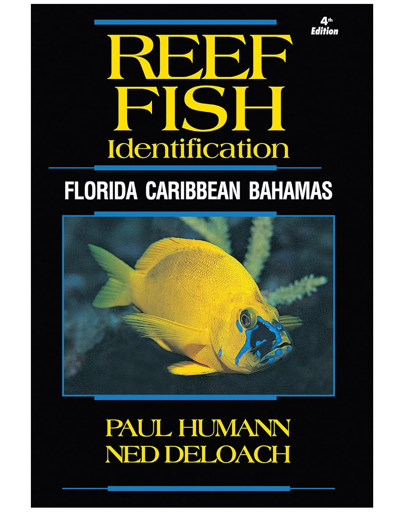 Reef Fish Identification
