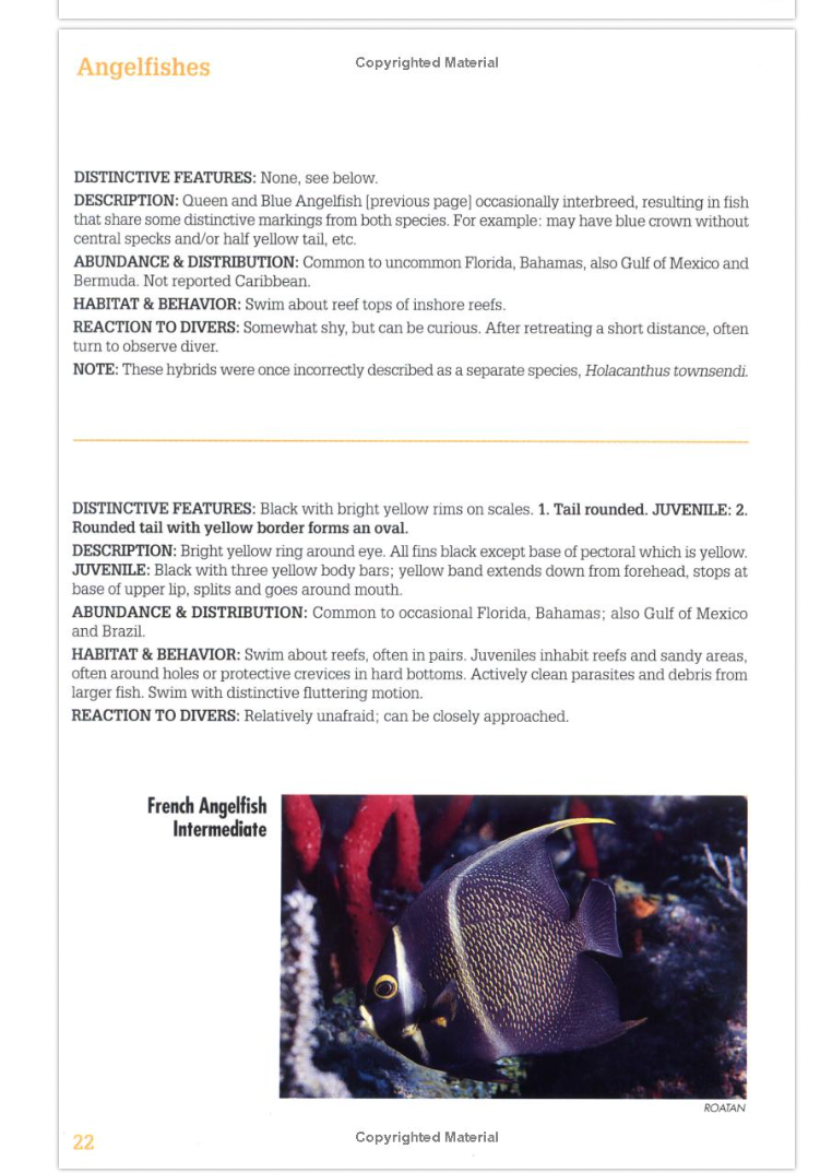 Reef Fish Identification