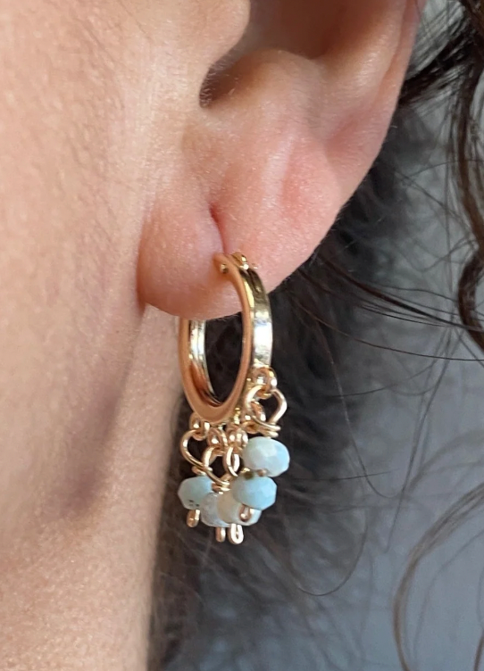 Lexi Larimar Hoops