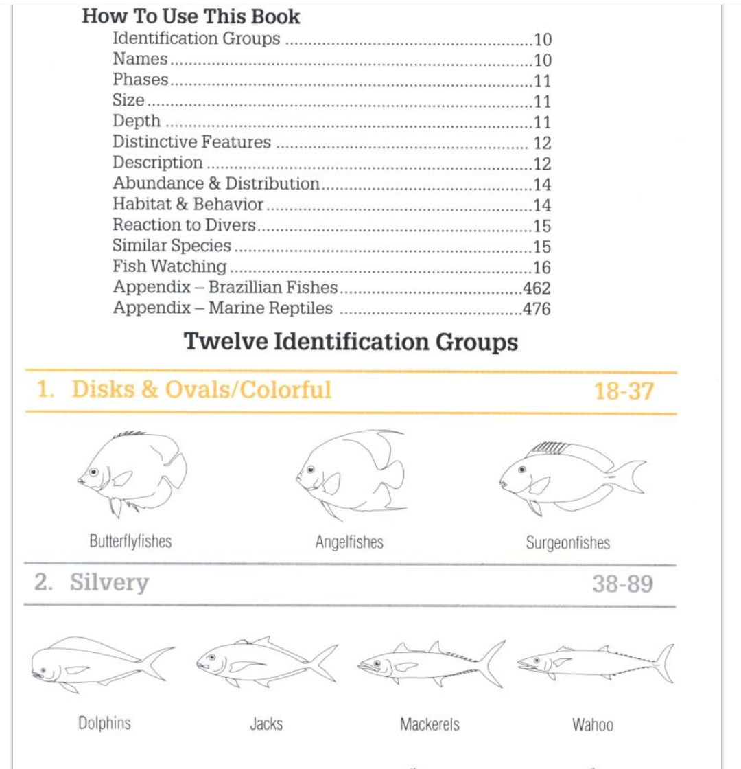 Reef Fish Identification