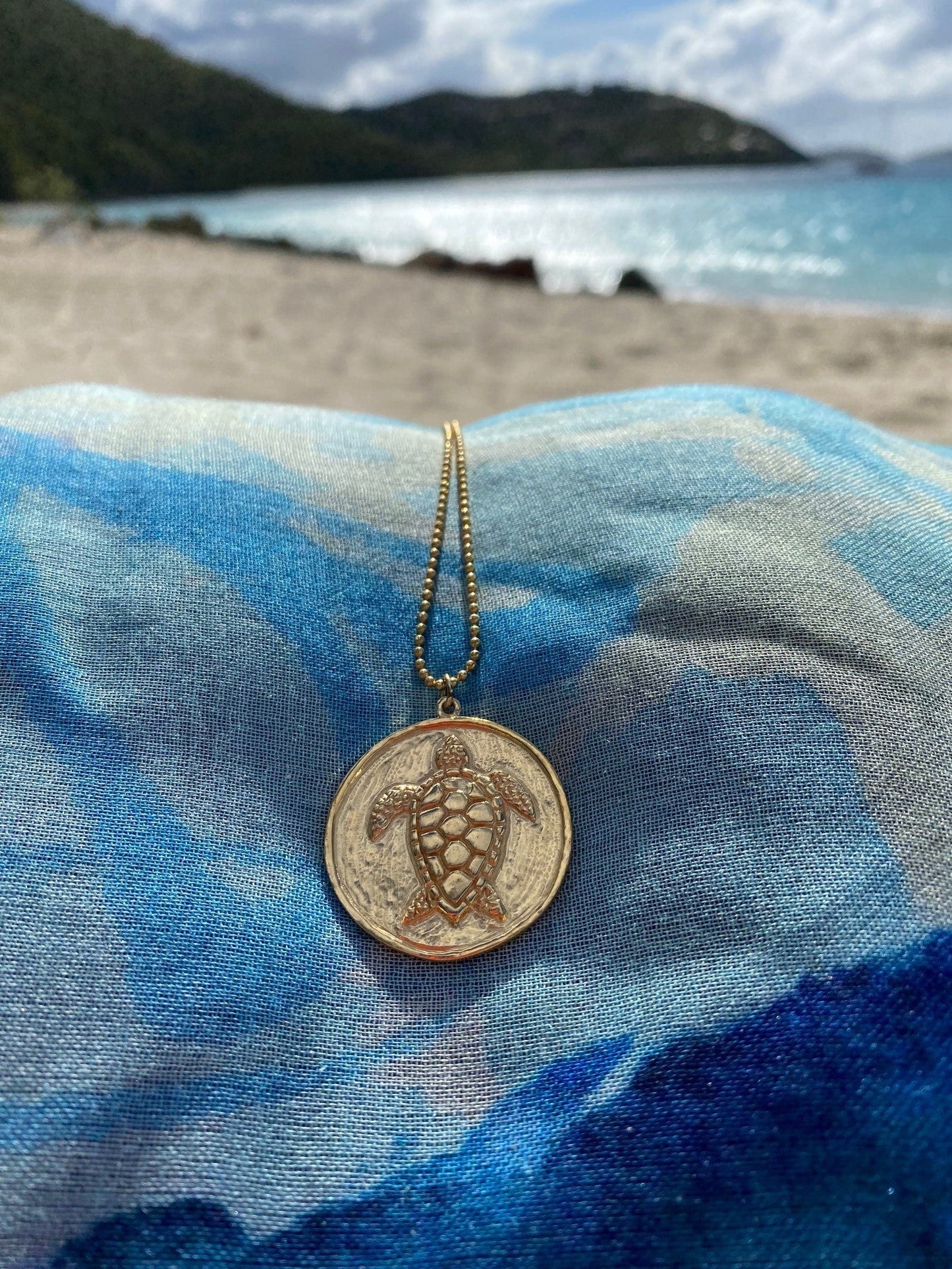 Turtle Coin Necklace