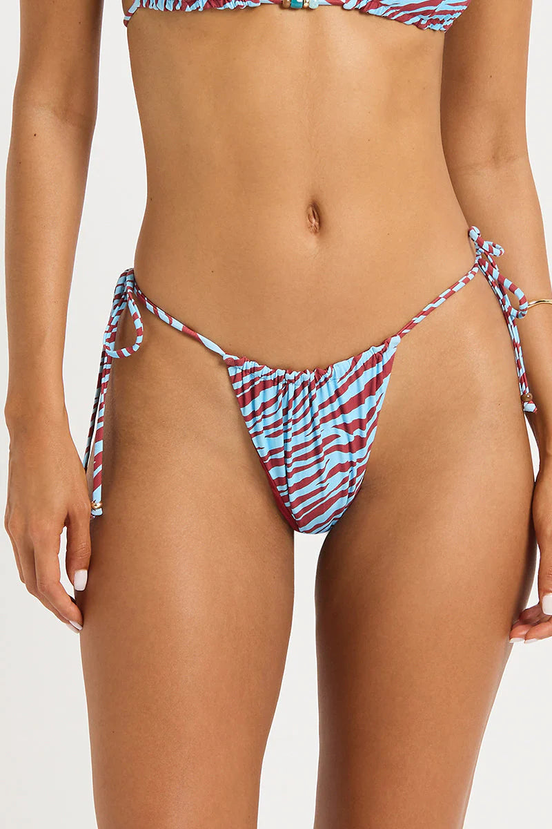 Stevie Brief - Blue Zebra/Ruby Red