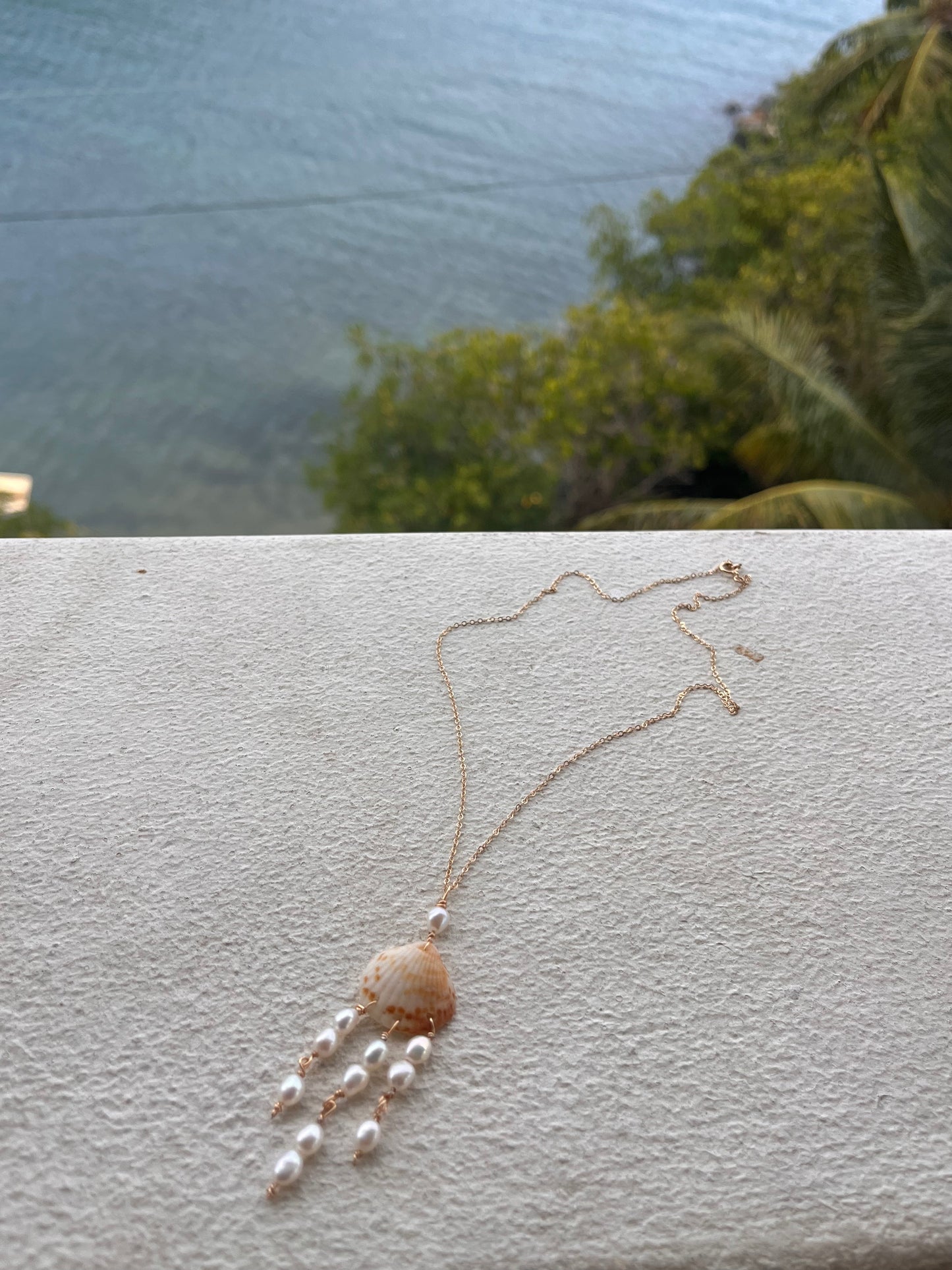 Local Shell Necklaces