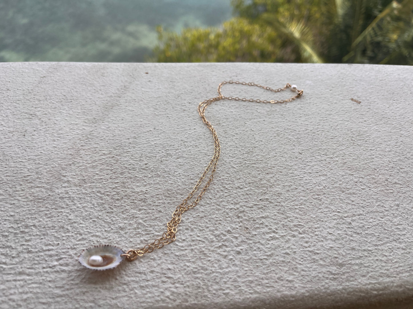 Local Shell Necklaces