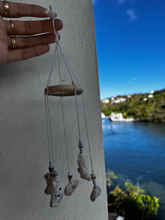 Coral Shell Small Mobile