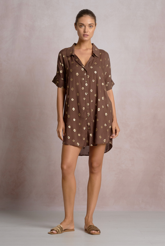 Brown Polka Collared Dress