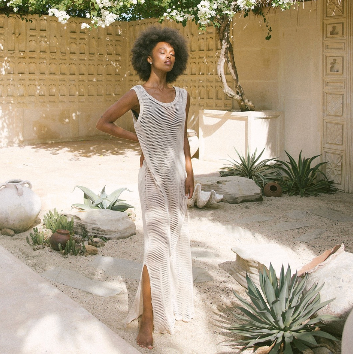 Mesh Maxi Dress