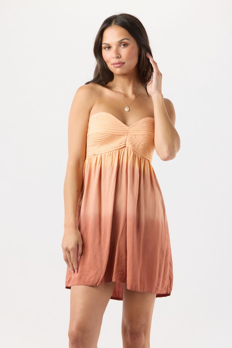 Shawna Mini Dress