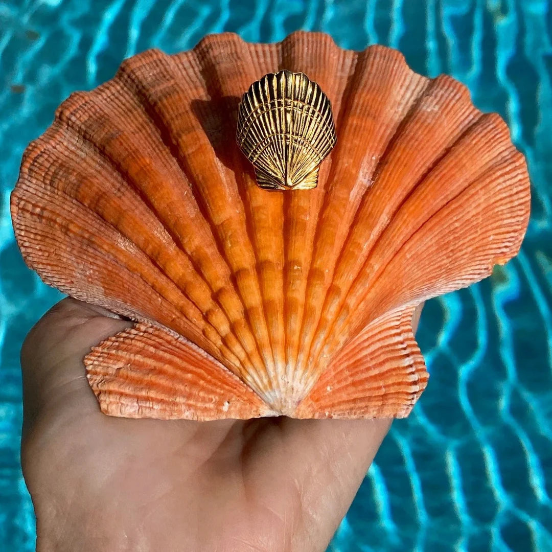 Scallop Shell Ariel Ring